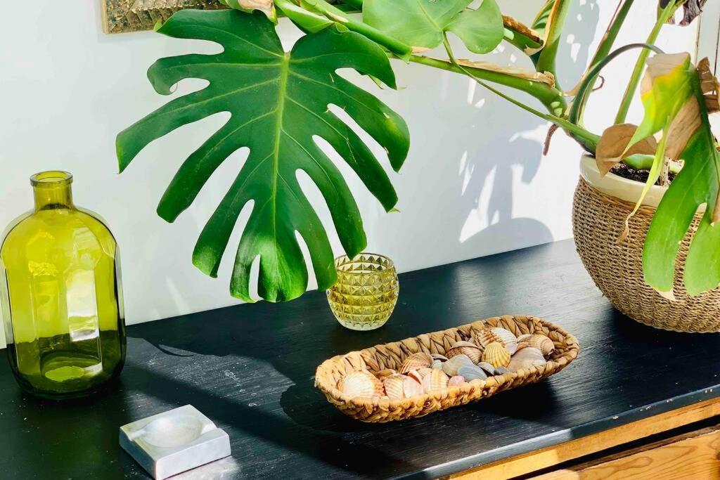 Begonia City Center Apartment 230 By Namaste Elite Torremolinos Eksteriør billede